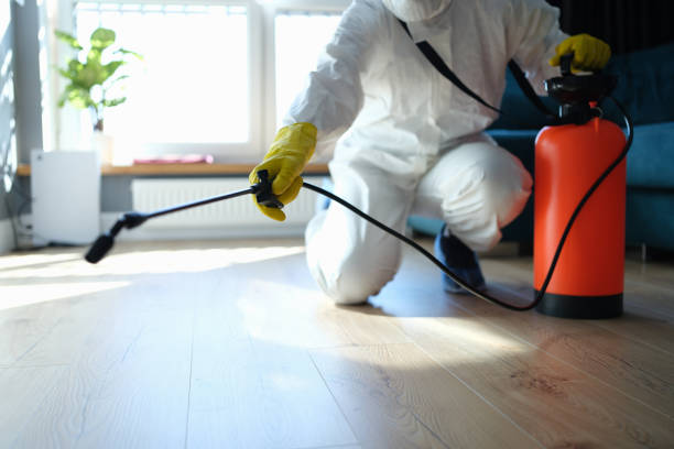Reliable Infectious Disease Decontamination contractor in Indio, CA by Trauma Clean Pros